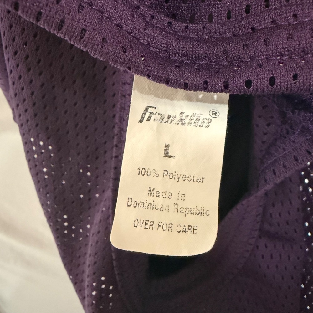 NFL Minnesota Vikings Franklin Football Mesh Youth Large Kids Jersey - Picture 3 of 4